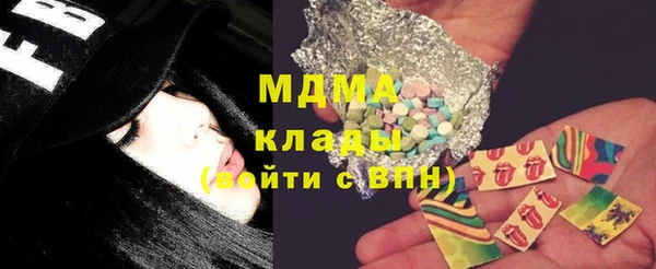 прущие грибы Верея