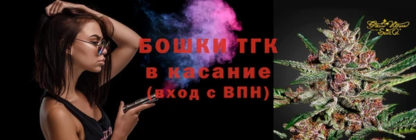 прущие грибы Верхний Тагил