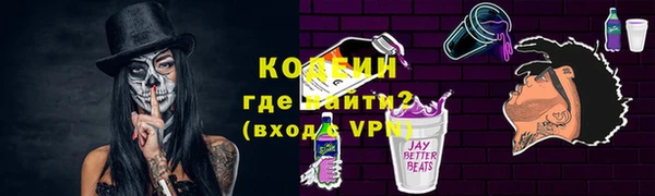 прущие грибы Верея