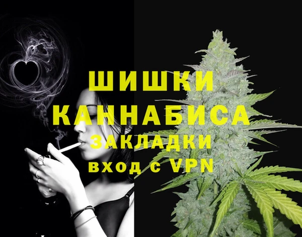 прущие грибы Верхний Тагил