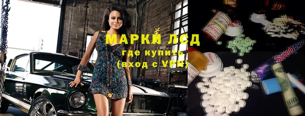 прущие грибы Верея