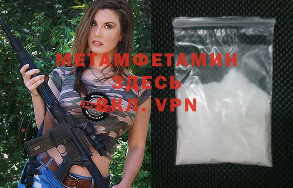 прущие грибы Верея