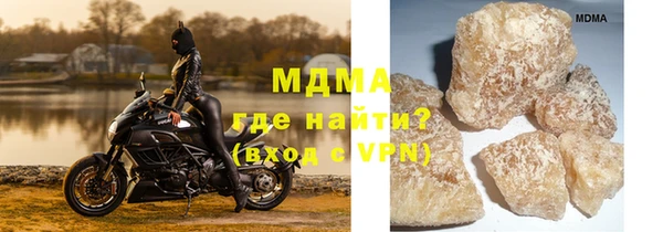 прущие грибы Верея